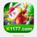 K1177 Game