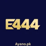 E444 Game