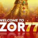 ZOR77 Game